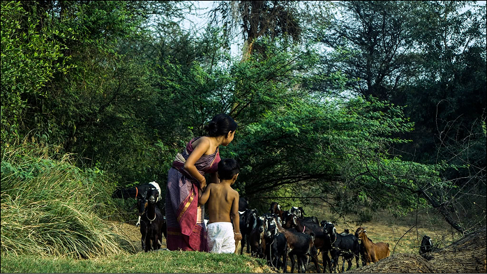 আম আঁটির ভেঁপু frame 9