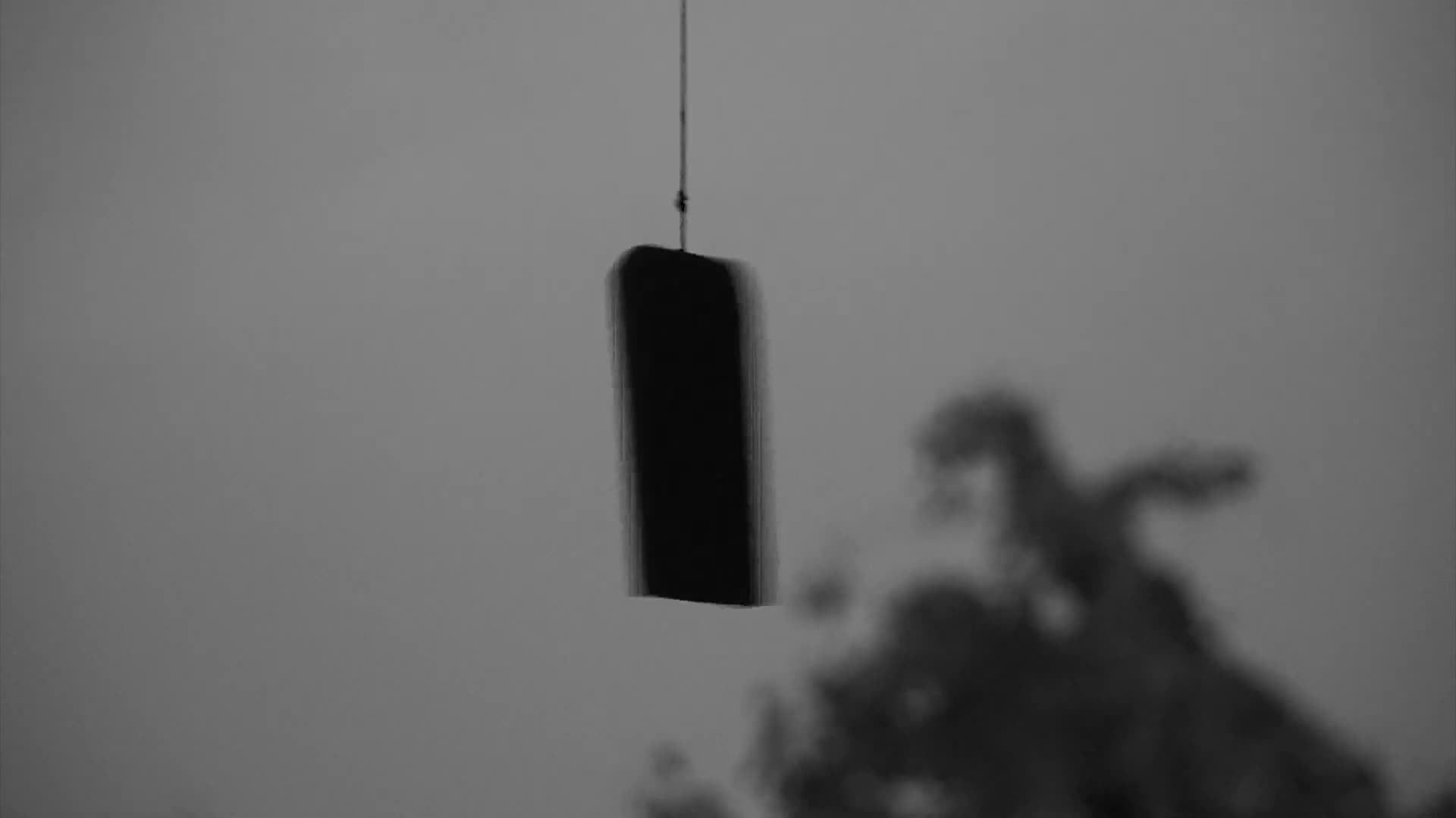 APARAJITA frame 3
