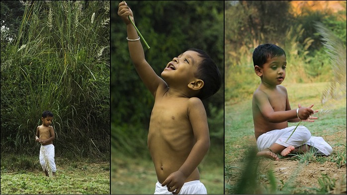 আম আঁটির ভেঁপু frame 5